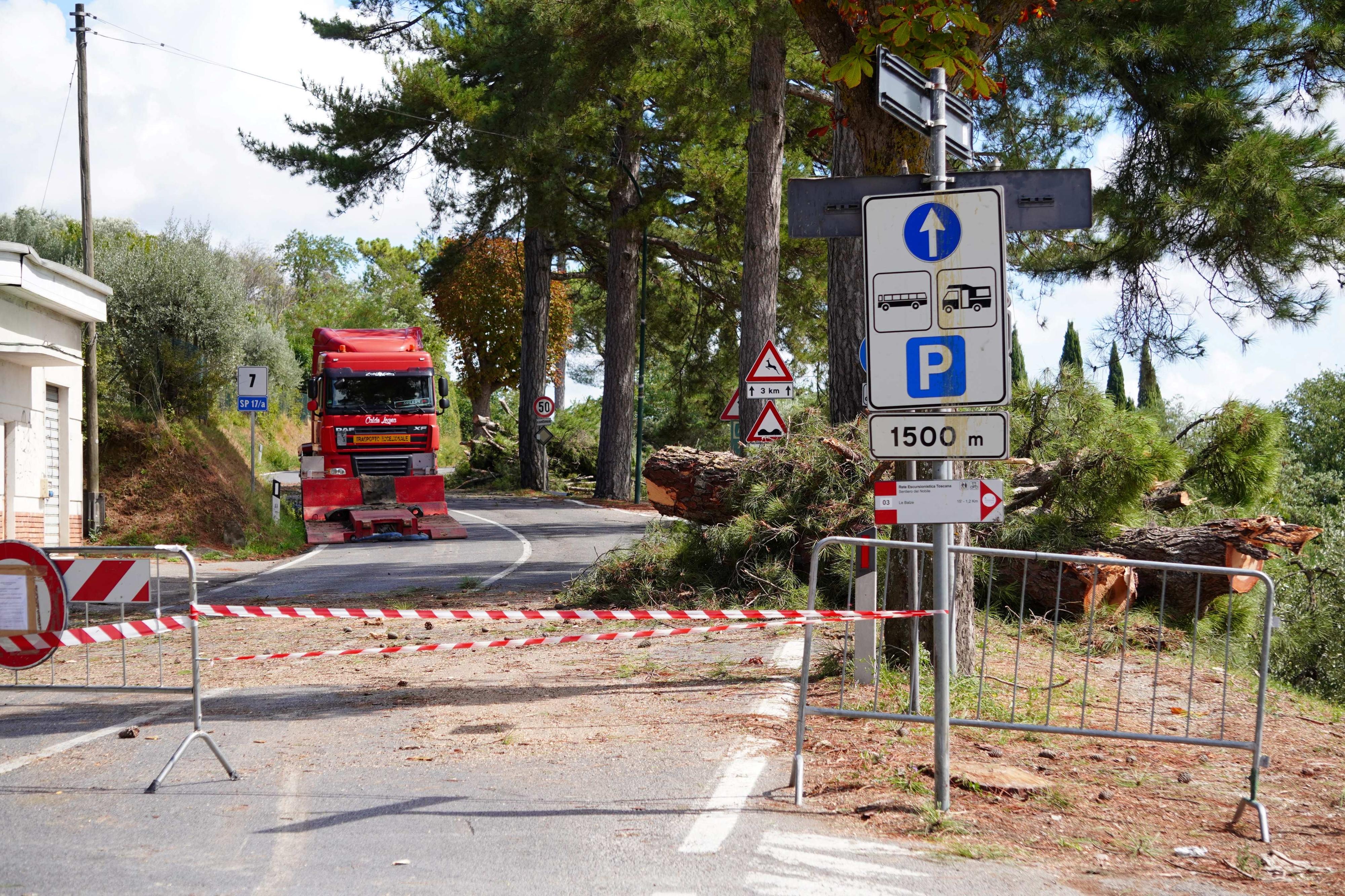 Montecatini, monitoraggio sugli alberi: 7 saranno abbattuti. “Controllo pianificato”