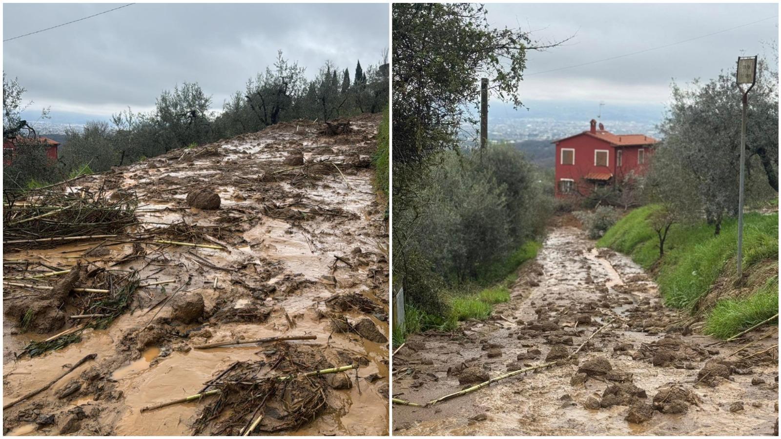 Maltempo choc a Quarrata: "E’ venuta giù la montagna, un disastro”. Vivai spazzati via