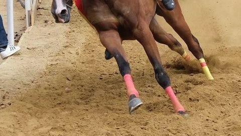 Il fantino Michel Putzu, coinvolto in un incidente al Palio di Asti, è stato dimesso dall'ospedale con tre costole rotte. Sarà costretto a riposo ma spera di tornare presto in sella.