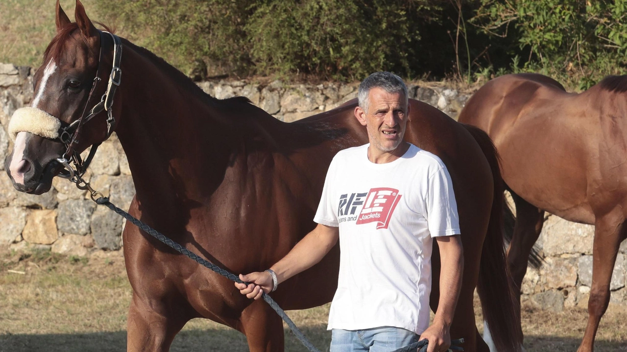 A sinistra Alessandro Chiti con il suo Veranu, cavallo che ha corso nell’Oca montato da Tittia e che potrebbe essere nel lotto anche ad agosto