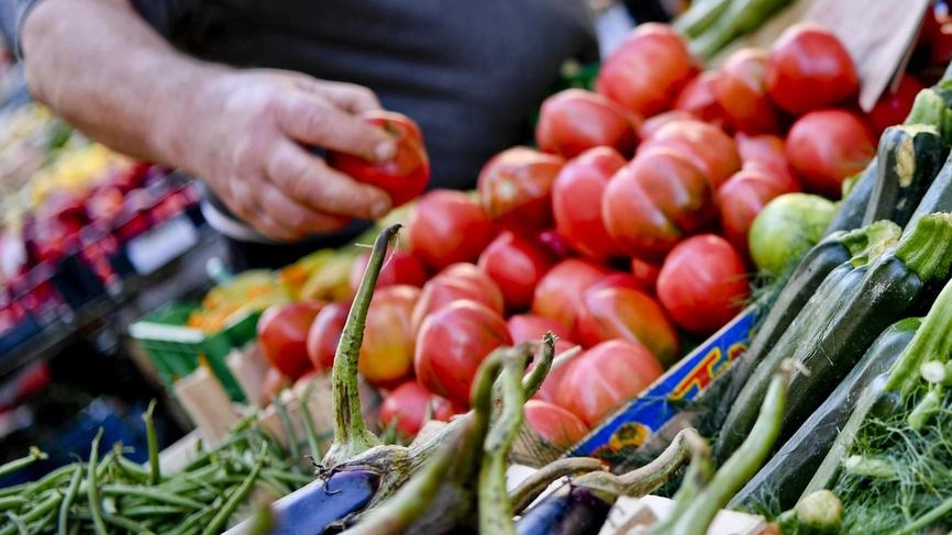 Un contributo da 500 euro per l’acquisto di cibo .