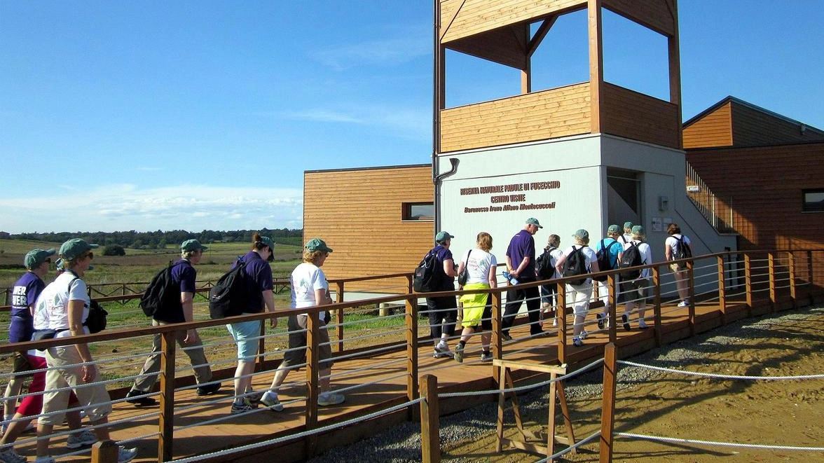 Grazie a un bando del Comune di Larciano ha riaperto il Centro visite della riserva naturale del Padule di Fucecchio. L’uso dei locali del centro è stato affidato alla Federcaccia di Larciano e all’associazione Intrecci