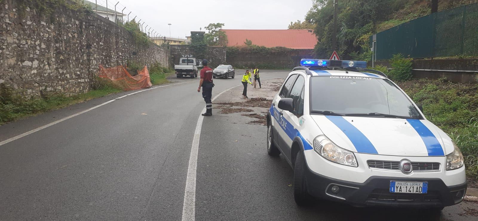 Allerta meteo: decine di interventi sulle strade per piccole frane e rami pericolanti