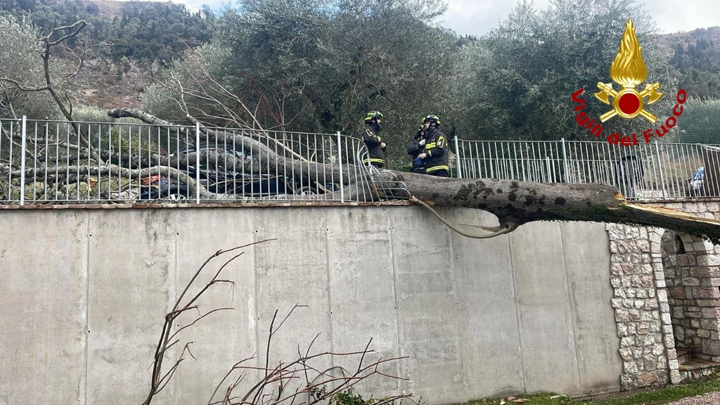 Tetti scoperchiati, alberi caduti: Umbria, il vento crea danni, tanti interventi