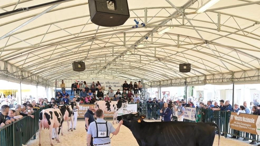 L’edizione 2025 di Agriumbria in programma al Centro fieristico di Bastia è stata presentata nel corso del salone «Eima International», in corso a Bologna