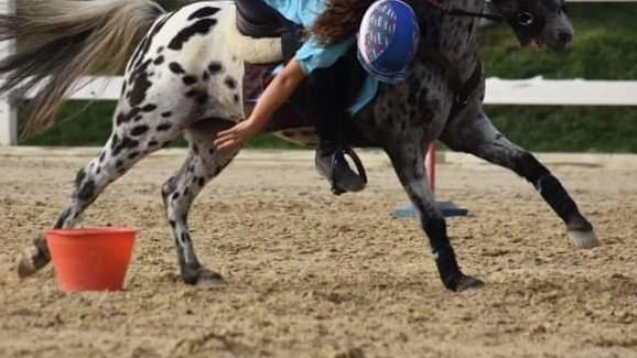 Pony games e salto ostacoli. Oltre 600 binomi in gara all’Equestrian Centre