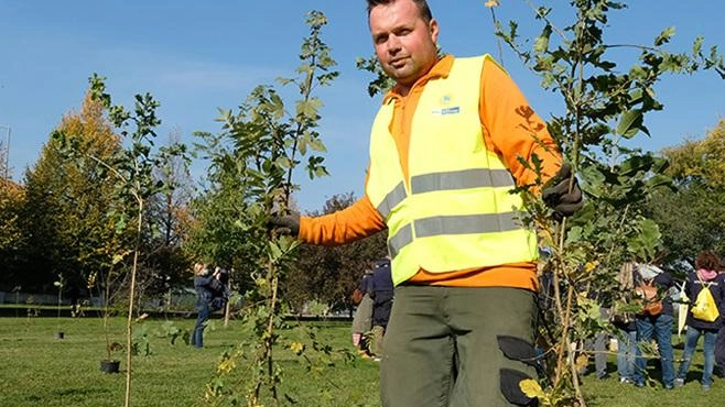 Parchi pubblici. In arrivo  sedici alberi