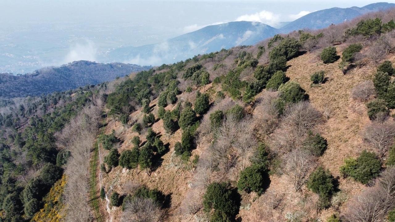 Il Monte Pisano rinasce: siglata intesa tra Scapigliato, Comunità del Bosco e Regione