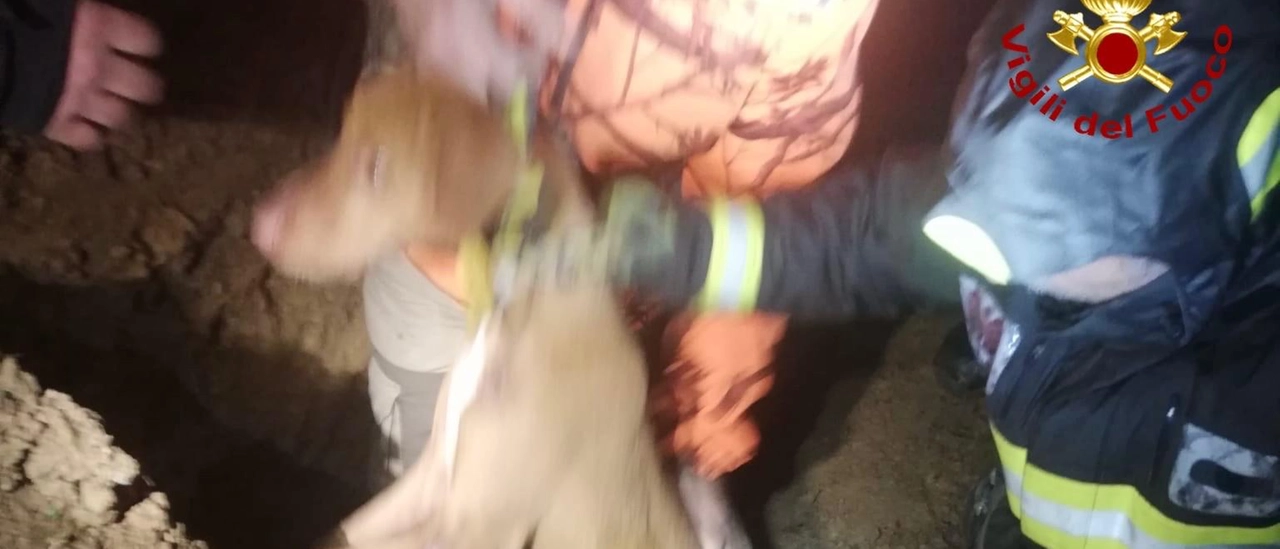 Cane intrappolato in un canale di scolo, salvato dai vigili del fuoco dopo tre ore di lavoro