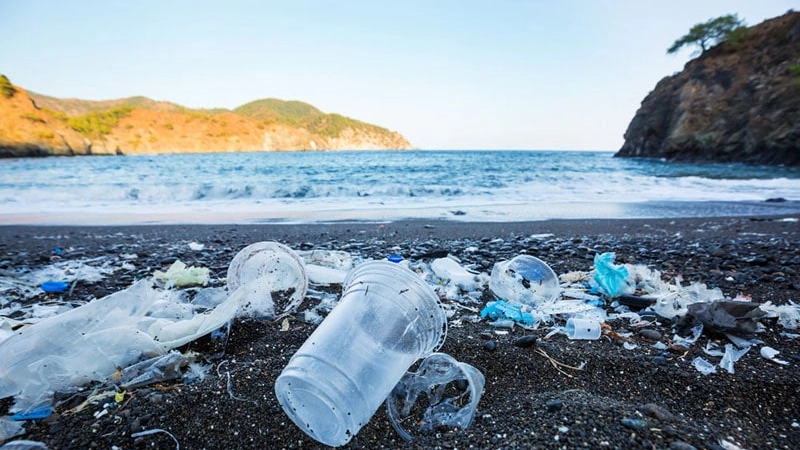 Plastic free Onlus, nel 2024 rimosse in Toscana 55 tonnellate