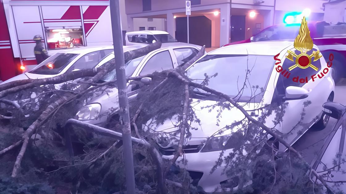 Alberi caduti su auto, via bloccata. Bufera di vento spazza il Valdarno