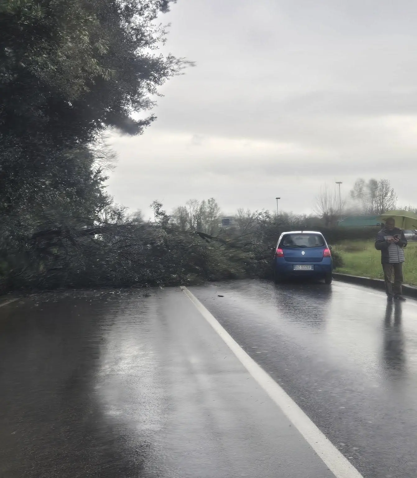 Maltempo, oggi è ancora allerta. Albero crolla sulla Statale a Poggio