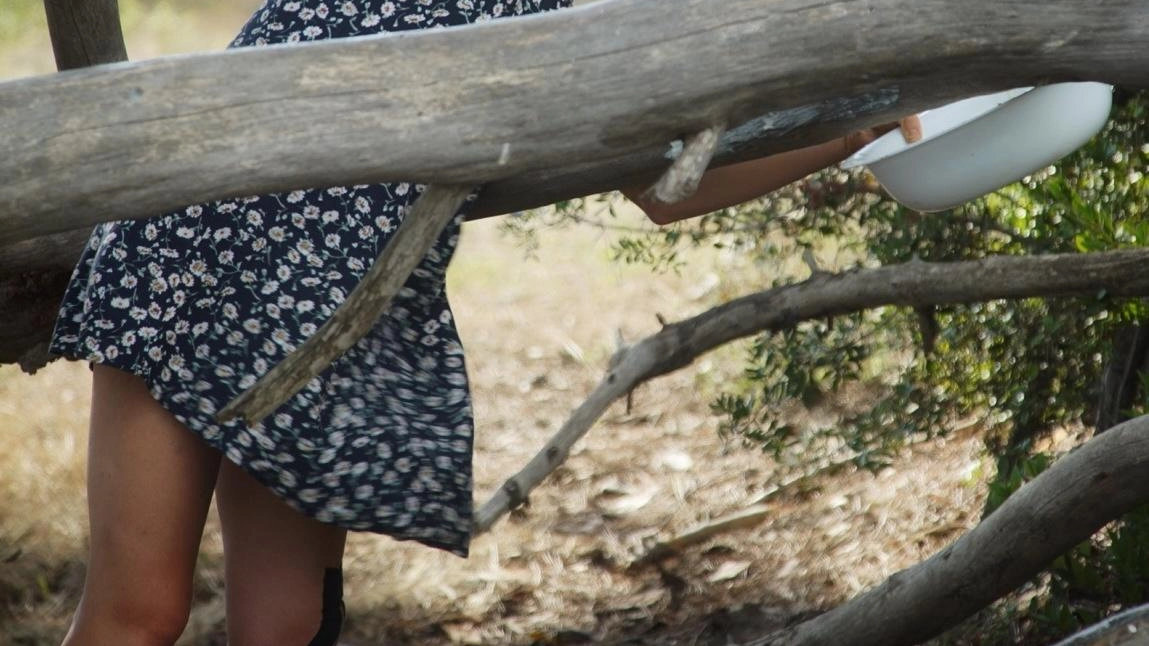 Il campus creativo Dune si apre al pubblico con due giornate di performance, installazioni e visioni di Arte nella natura al Parco della Maremma