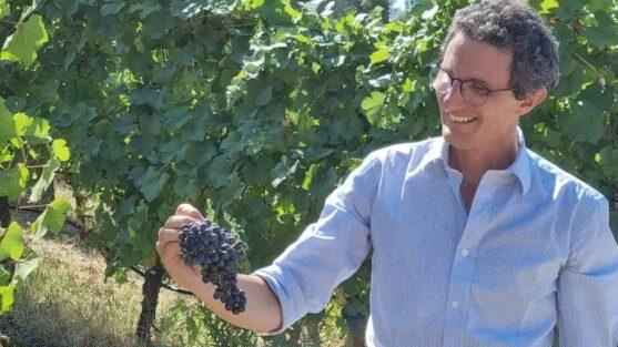 Vendemmia terminata per Pancrazi: "Tempi ridotti come nel 2003"