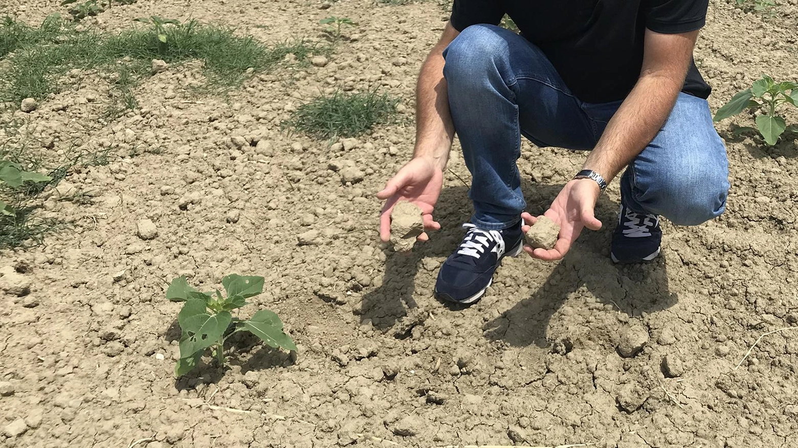 Clima pazzo, agricoltura in crisi. Urgente accumulare acqua piovana