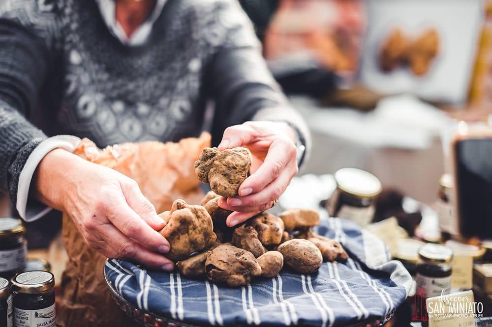 Tartufo, 4.000 euro per una pepita. Ottima qualità ma poco prodotto