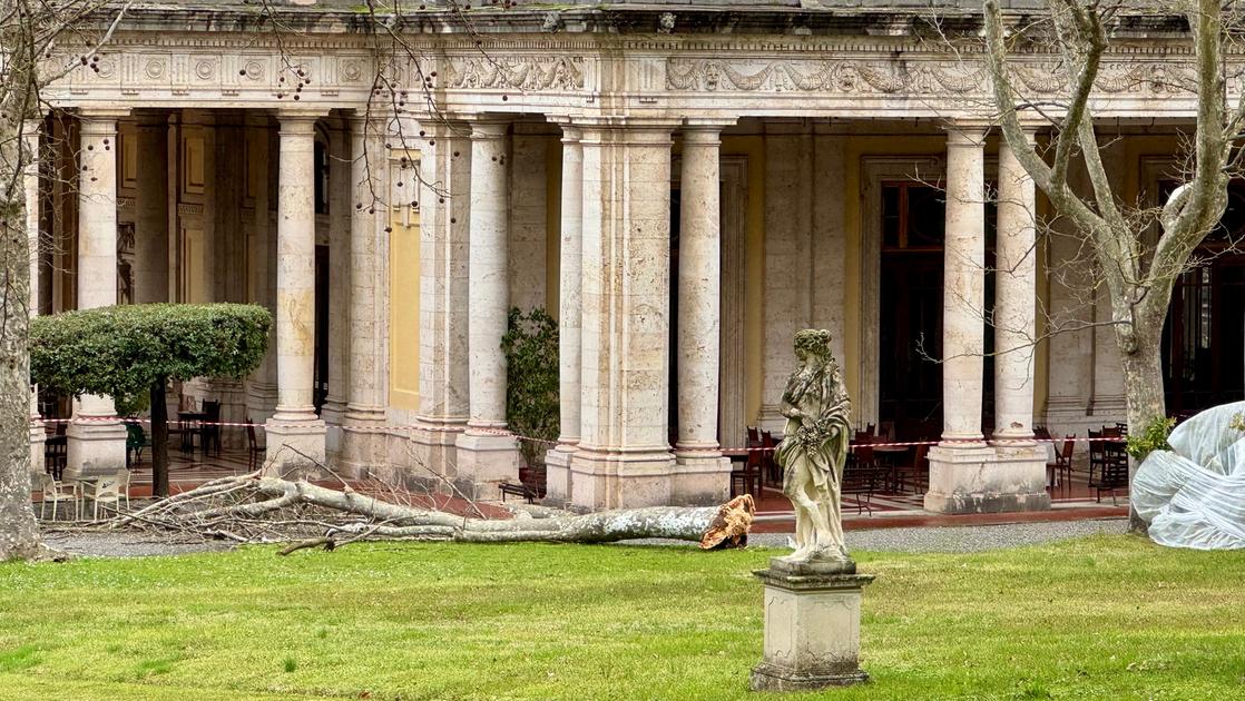 Tettuccio, dopo il crollo dell’albero parco chiuso per verifiche sulle piante