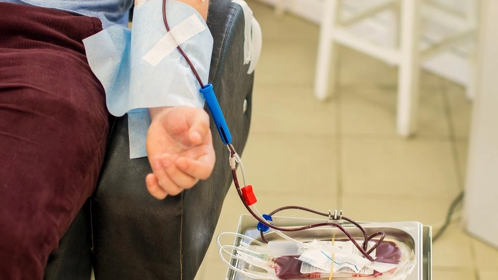 Donare il sangue o anche il plasma è davvero un grande gesto di altruismo