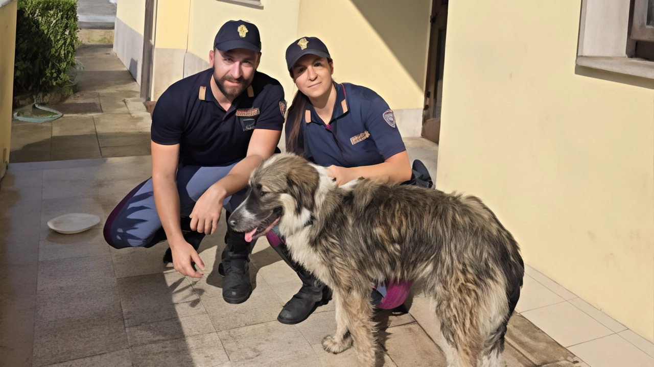 Gli agenti della Polizia Stradale insieme a Nala