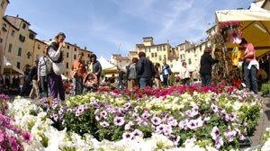 Torna anche quest’anno, dal 23 al 27 aprile, la tradizionale Fiera dei fiori e dei dolci di Santa Zita dedicata...