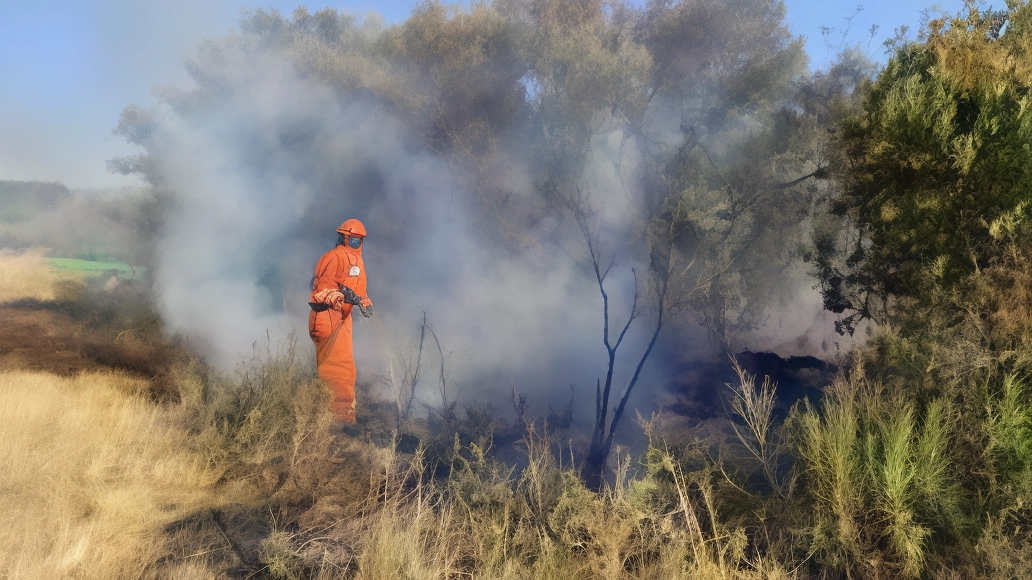 Fino al 31 agosto, resta in vigore in tutta la Regione Toscana il divieto assoluto di abbruciamento di residui vegetali...