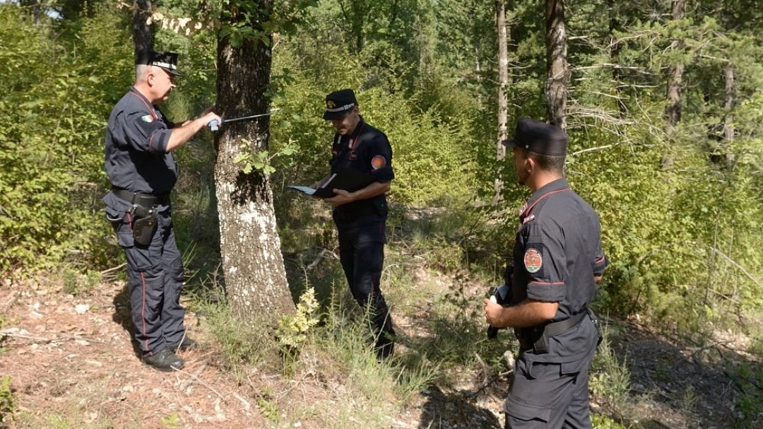 I carabinieri forestali