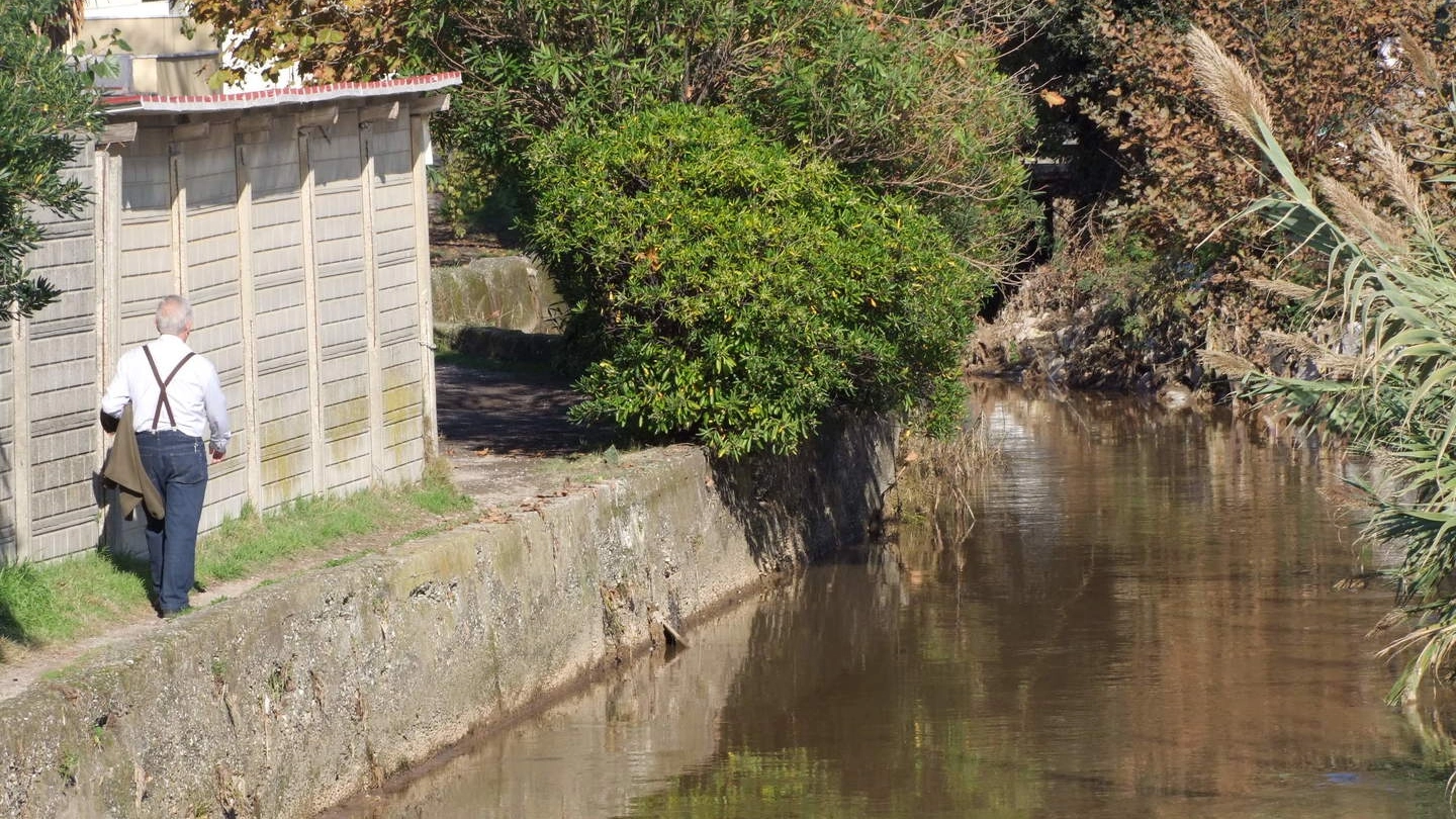 Il canale del Lavello, da sempre utilizzato dalle aziende chimiche della zona industriale, come discarica di sostanze inquinanti e altamente pericolose per la salute e per l’ambiente