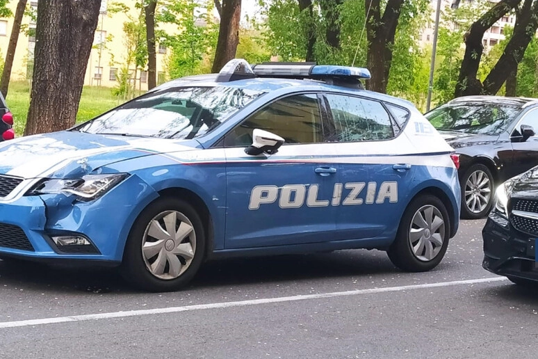 L'arresto eseguito dalla polizia (Foto Ansa)