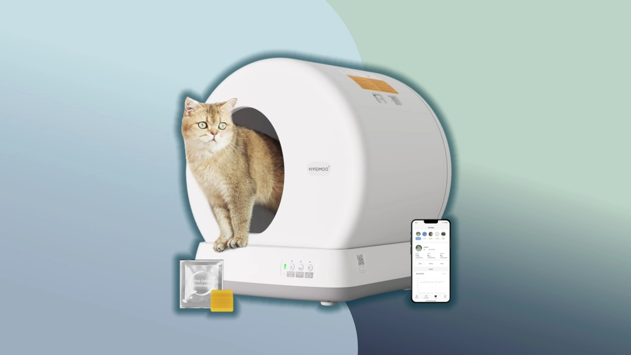 lettiera smart per gatti