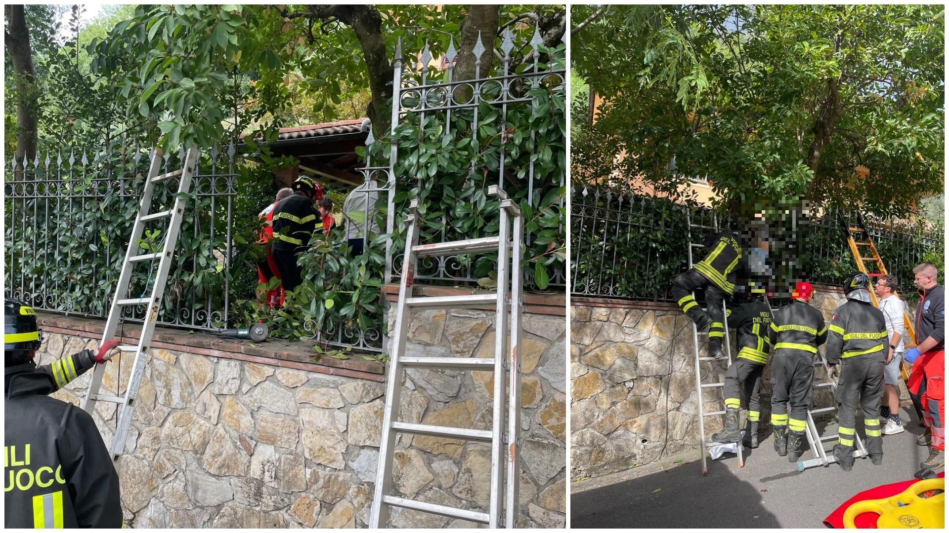 Cade da un albero e viene trafitto dalla recinzione, soccorso in elicottero