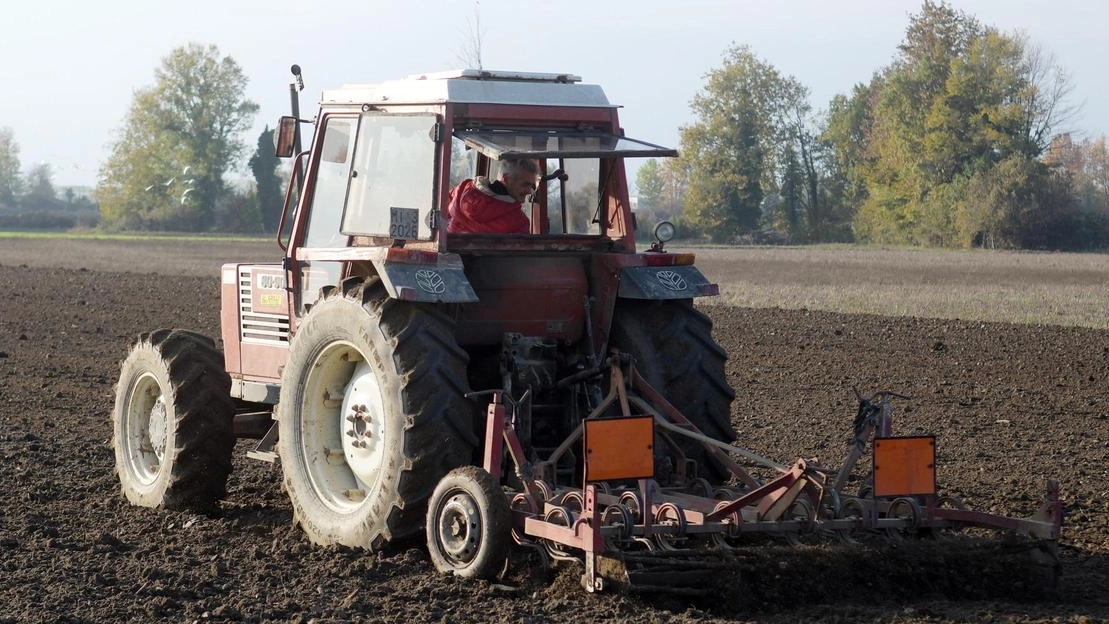 Il comparto agricolo in Umbria migliora in qualità ma rimane in sofferenza