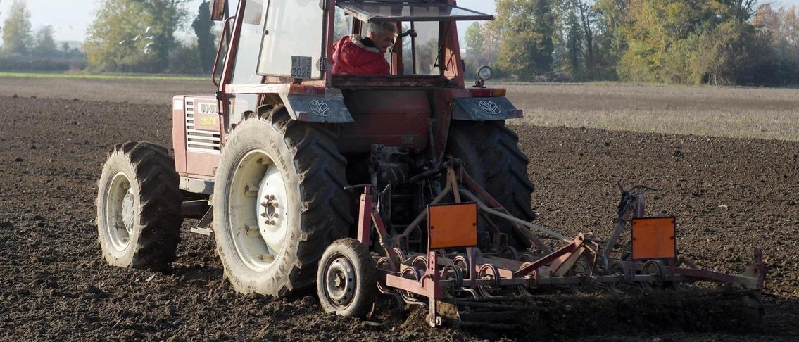 La grande sfida dell’agricoltura. Aumentano produzione e qualità. Ma le aziende sono troppo piccole