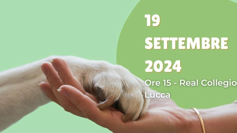 Il Comune di Lucca, insieme all'Università di Pisa e Lucca Crea, partecipa al progetto europeo In-habit Horizon 2020 per migliorare la qualità di vita attraverso il rapporto uomo-animale. L'In hub offre un luogo di partecipazione attiva e il prossimo evento si terrà il 19 settembre al Real Collegio di Lucca.