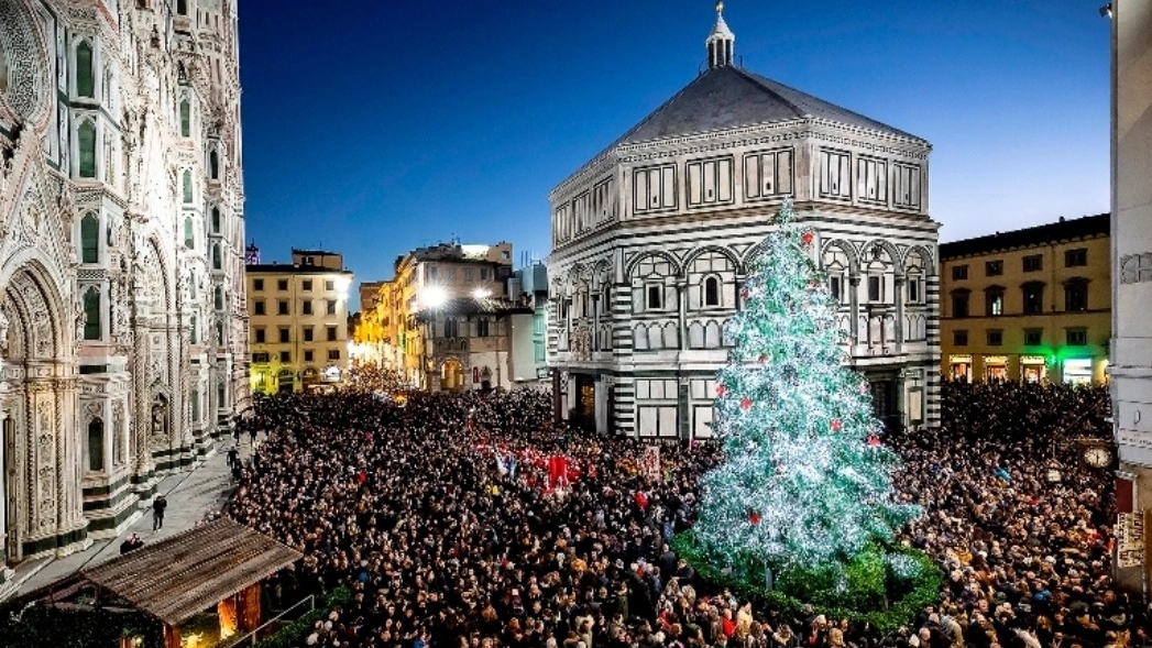 Albero in piazza Duomo a Firenze 