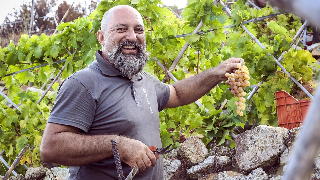 Giovanni Rossi dell’azienda agricola. Fontuccia che al Giglio produce Ansonica