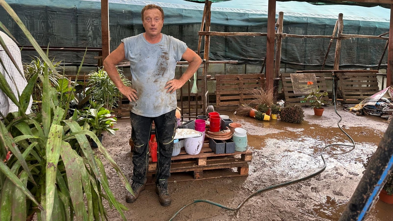 Violenta alluvione a Montescudaio distrugge vivaio Garden Flor Etruria: danni ingenti, proprietario Marco Pallecchi racconta la devastazione e la difficile ripresa.