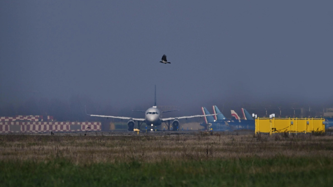 Mercoledì 5 febbraio si terrà l’Airport Day, un evento nazionale promosso da Assaeroporti e dalle società di gestione aeroportuale associate....