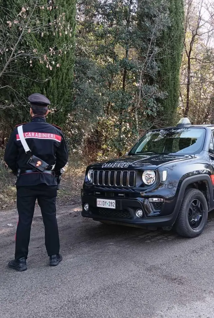 Droga nel bosco di Catignano. I carabinieri smantellano bivacco. L’area del Chianti già bonificata