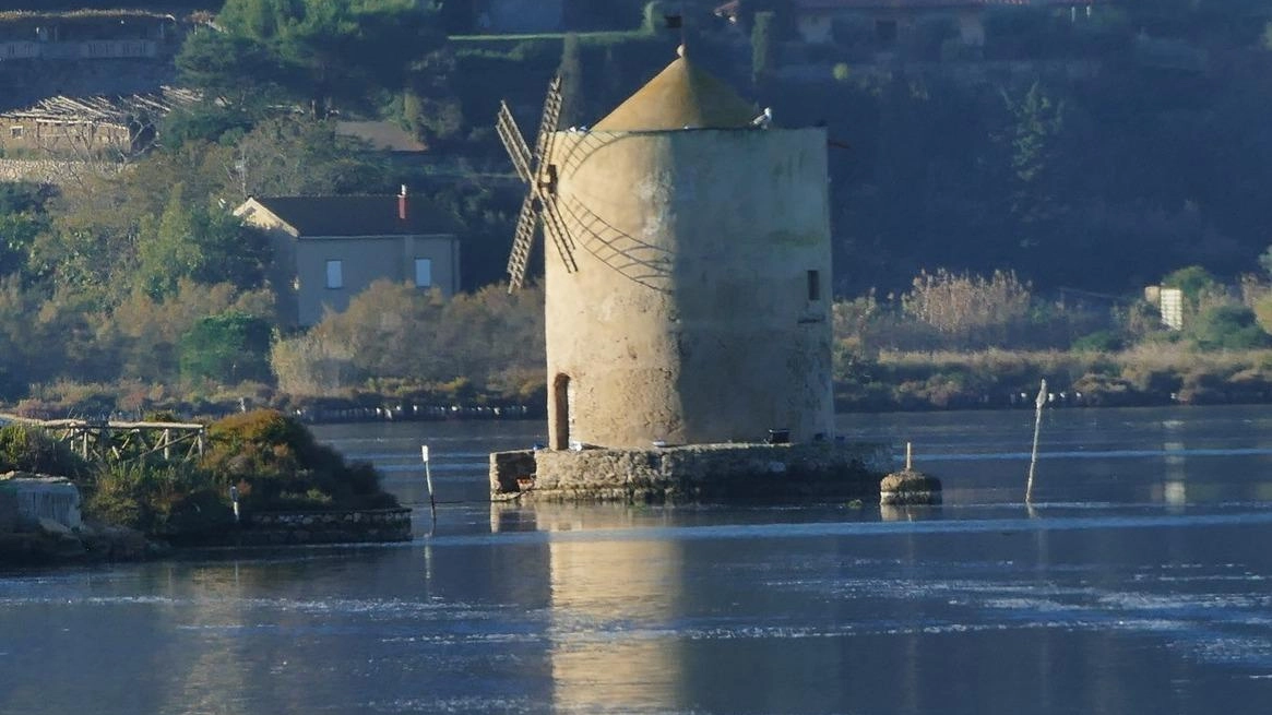 ORBETELLO Con la costituzione del coordinamento zonale, il movimento civico "Costa d’Argento Al Centro", ha tenuto una serie di riunioni, al...