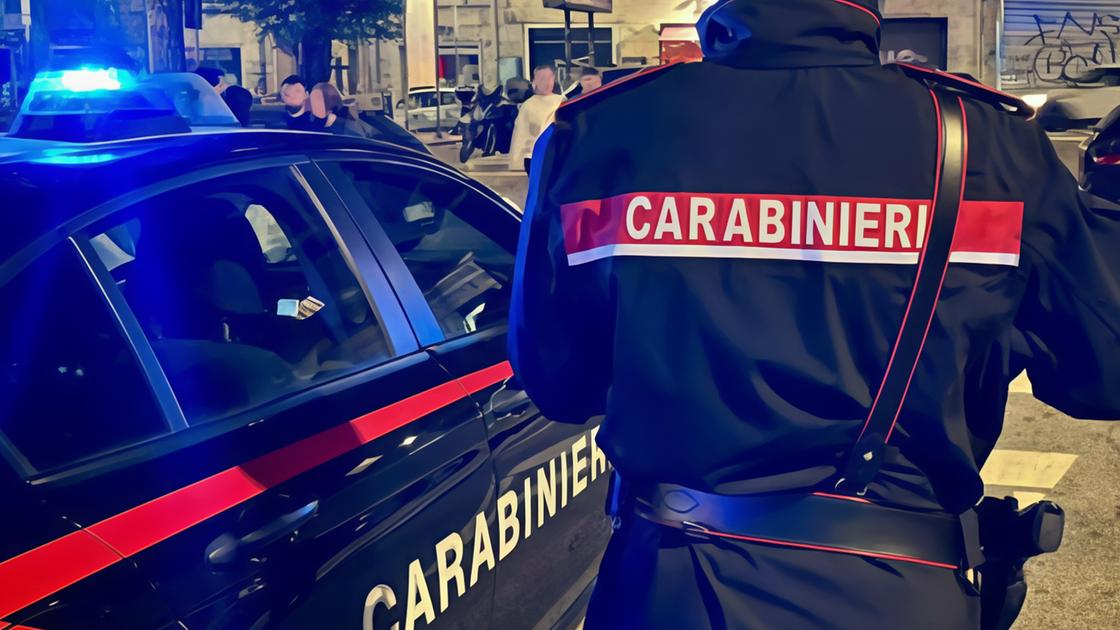 Furti sulle auto. Diciannovenne arrestato