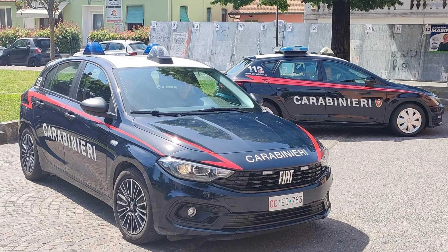 Furti in case e negozi: preso il ladro. Indagini e blitz dei carabinieri