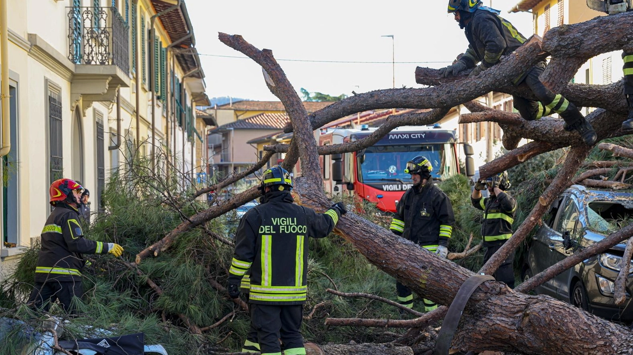 Le immagini mostrano il cedimento dell’albero in via Burchietti