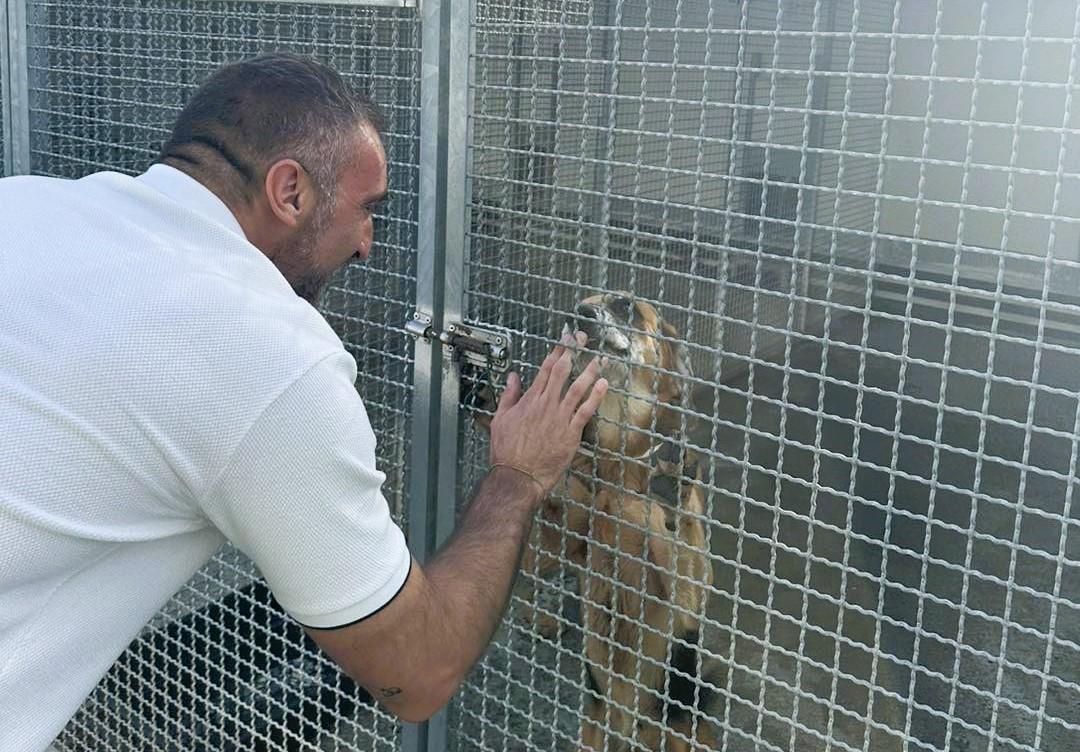 La benedizione degli animali in piazza Europa