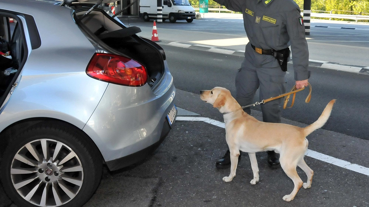 Nel corso dei controlli. interforze che hanno interessato l’Acropoli,hanno dato il loro contributo anche le unità cinofile antidroga della Guardia di Finanza