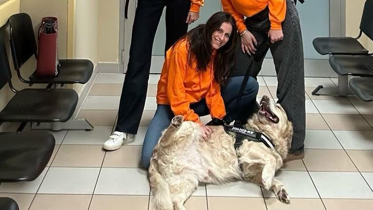 Qua la zampa... in pediatria. La pet therapy torna a regime a Pontedera