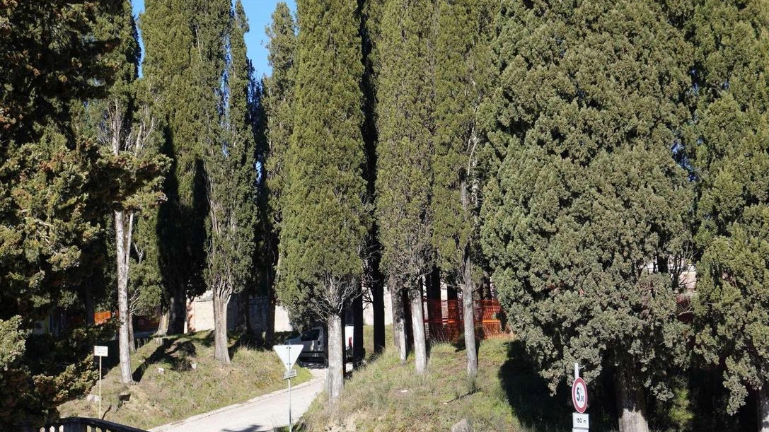 Il restauro del muro frontale e della strada di accesso al cimitero di Montorio finanziato dal benefattore Marco Falciani