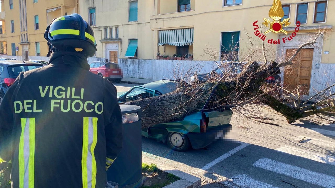 I vigili del fuoco del comando di Firenze, distaccamento di Empoli, sono intervenuti sul fatto