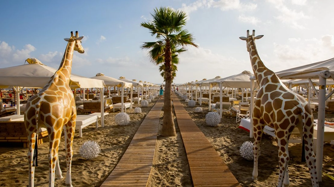 Le iconiche giraffe del Twiga, il celebre beach club di Marina di Pietrasanta