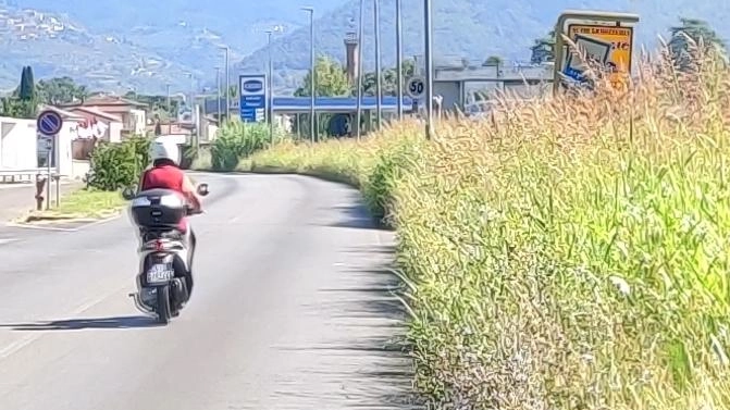 L'erba lungo via Garibaldi a Montale crea disagi e pericoli per la circolazione, riducendo la visibilità e l'accessibilità della strada. Gli utenti sono chiamati a una maggiore prudenza mentre si attende un intervento di manutenzione.