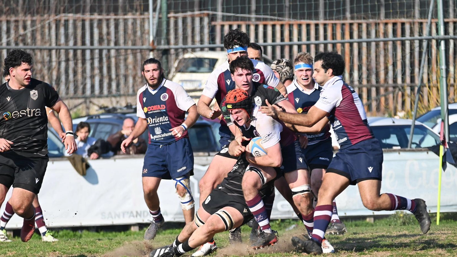 Cavalieri oggi in campo   Capitolina da battere